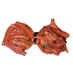 Vintage Branch Coral Cluster Earrings Clip On 3/4 inch